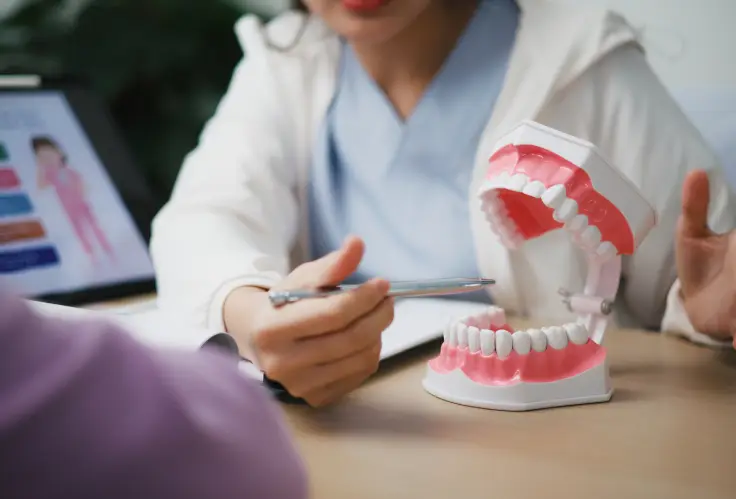 Choosing the Right Dental Plan in Illinois – A Step-by-Step Guide